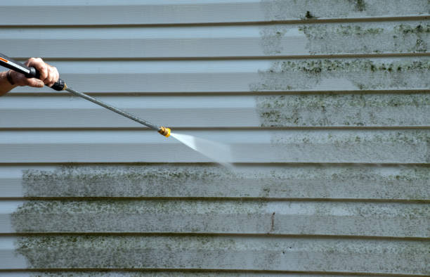 Best Affordable Power Washing  in Nutter Fort, WV
